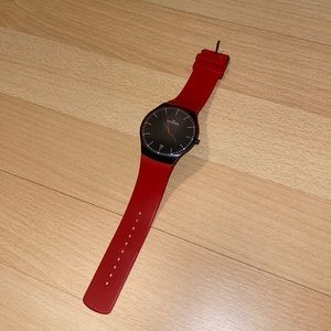 Skagen Mens Watch